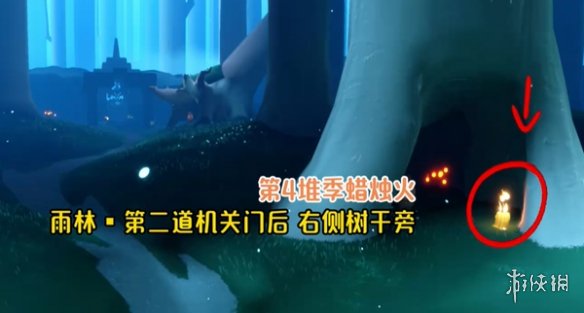 网5